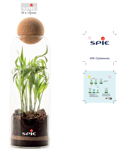 Terrarium plante dépolluante 29.94 € (1ex = Lot de 10ex)